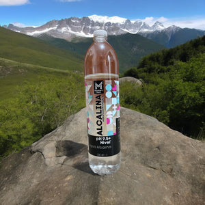 Agua Alcalina ph9.5+ 1000 ml 7500533003668